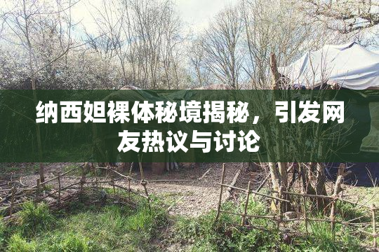 纳西妲裸体秘境揭秘，引发网友热议与讨论