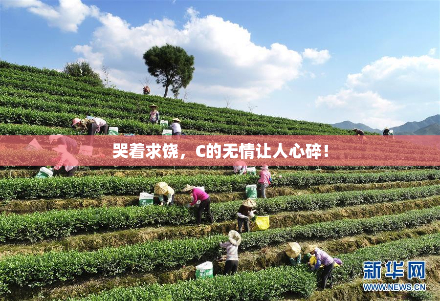 哭着求饶，C的无情让人心碎！