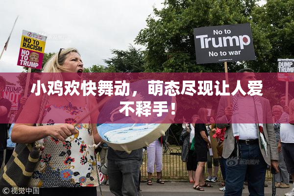 小鸡欢快舞动，萌态尽现让人爱不释手！