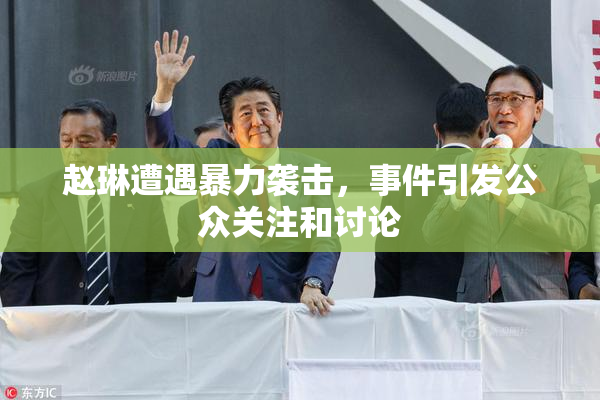 赵琳遭遇暴力袭击，事件引发公众关注和讨论