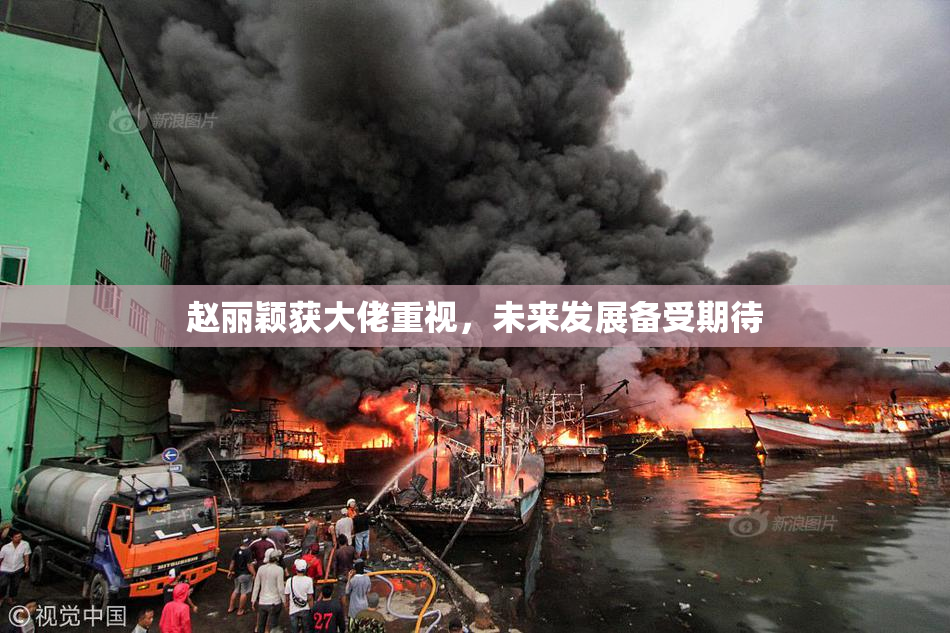 赵丽颖获大佬重视，未来发展备受期待