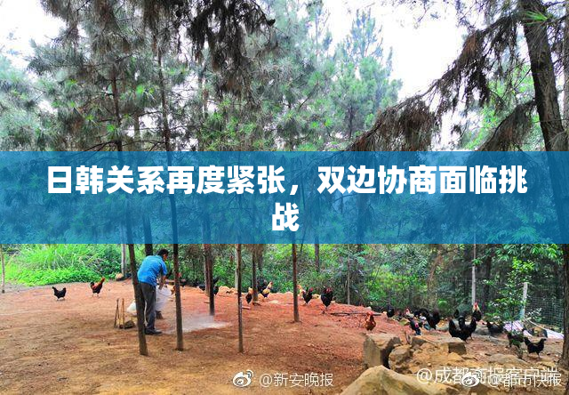 日韩关系再度紧张，双边协商面临挑战