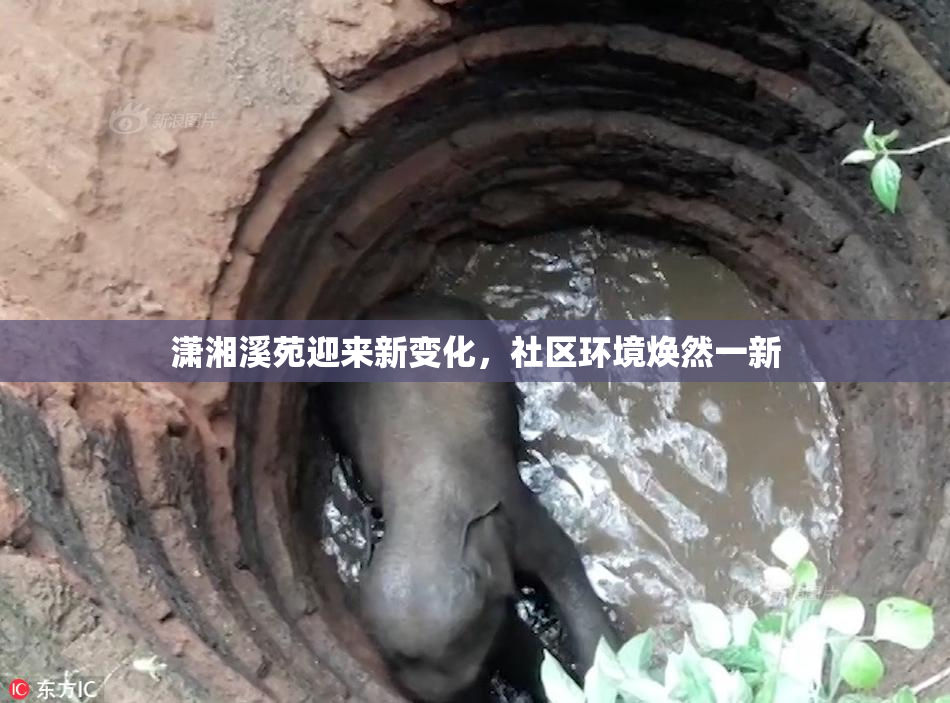 潇湘溪苑迎来新变化，社区环境焕然一新