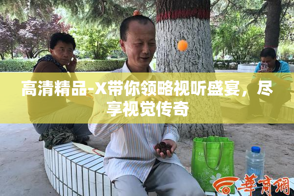 高清精品-X带你领略视听盛宴，尽享视觉传奇
