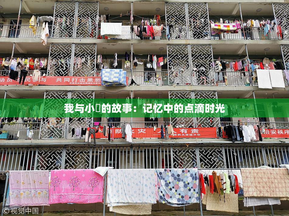 我与小娻的故事：记忆中的点滴时光