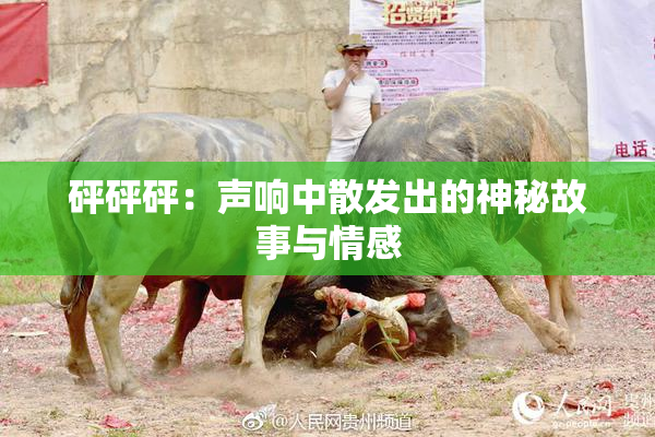 砰砰砰：声响中散发出的神秘故事与情感
