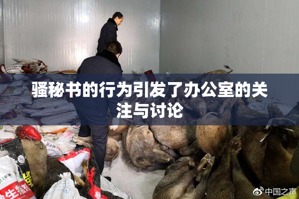 骚秘书的行为引发了办公室的关注与讨论