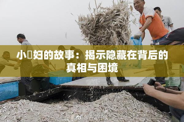 小婬妇的故事：揭示隐藏在背后的真相与困境