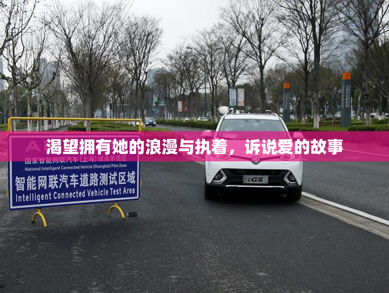渴望拥有她的浪漫与执着，诉说爱的故事