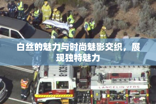 白丝的魅力与时尚魅影交织，展现独特魅力