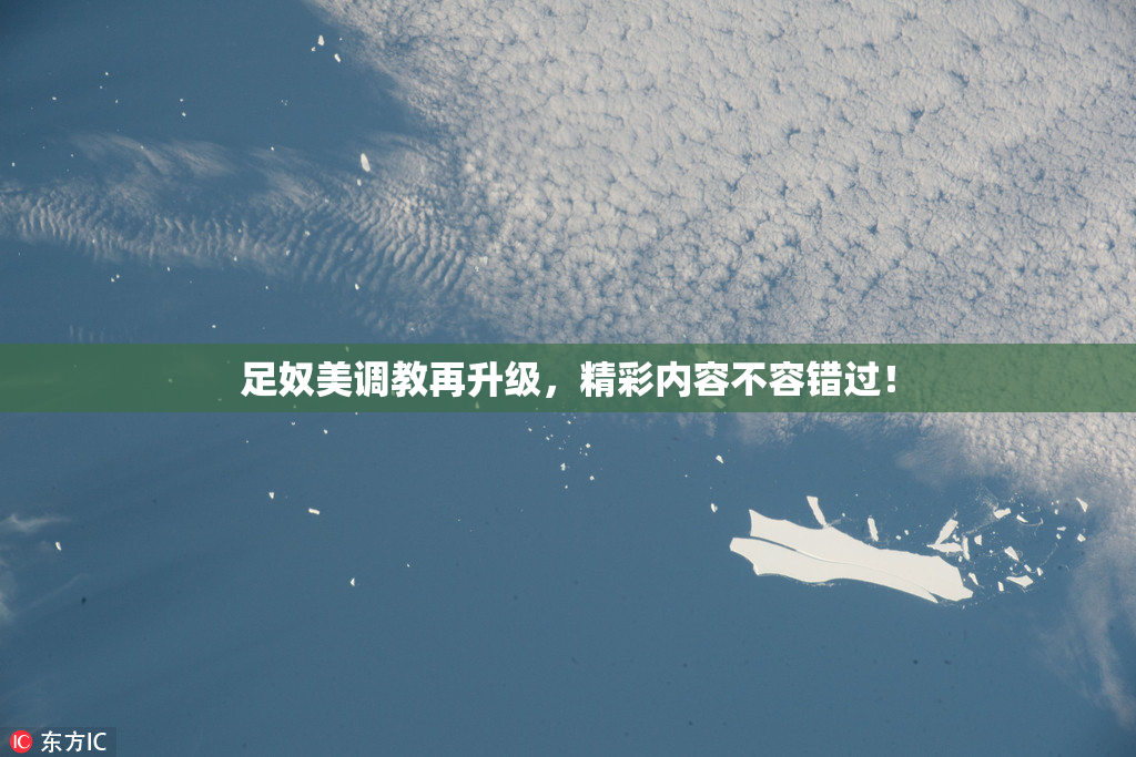 足奴美调教再升级，精彩内容不容错过！
