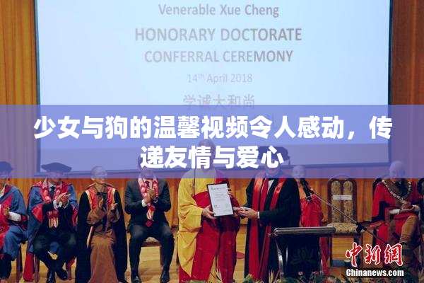 少女与狗的温馨视频令人感动，传递友情与爱心