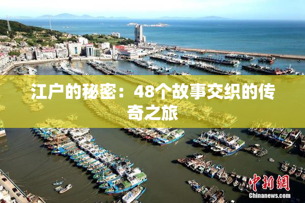 江户的秘密：48个故事交织的传奇之旅