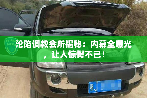 沦陷调教会所揭秘：内幕全曝光，让人惊愕不已！