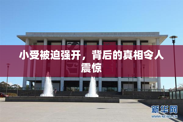 小受被迫强开，背后的真相令人震惊