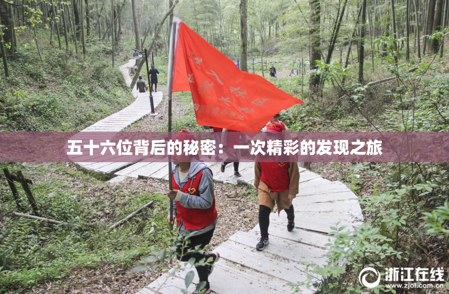 五十六位背后的秘密：一次精彩的发现之旅