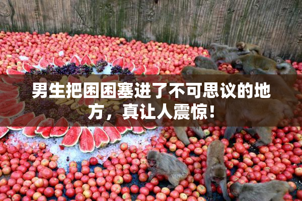 男生把困困塞进了不可思议的地方，真让人震惊！