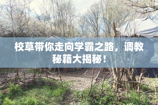 校草带你走向学霸之路，调教秘籍大揭秘！