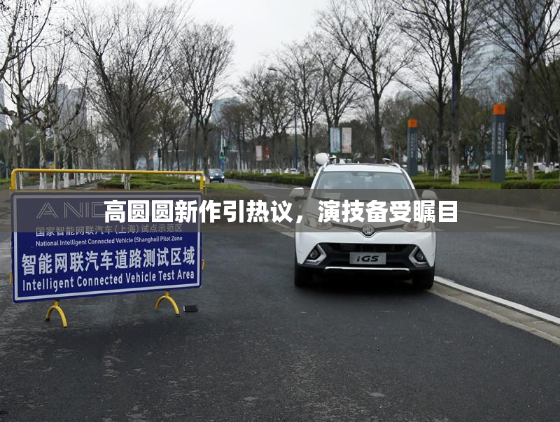 高圆圆新作引热议，演技备受瞩目