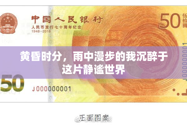 黄昏时分，雨中漫步的我沉醉于这片静谧世界
