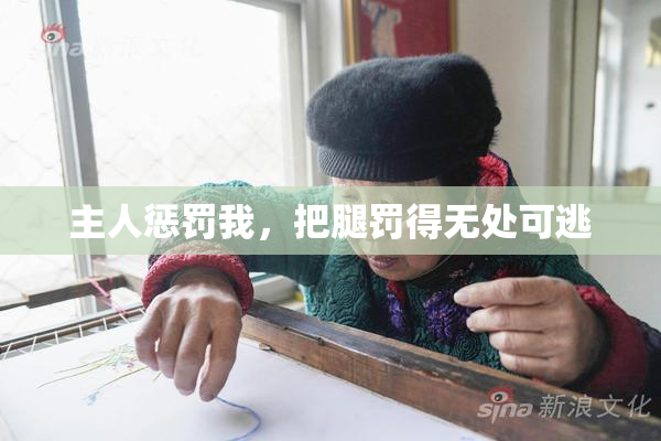 主人惩罚我，把腿罚得无处可逃
