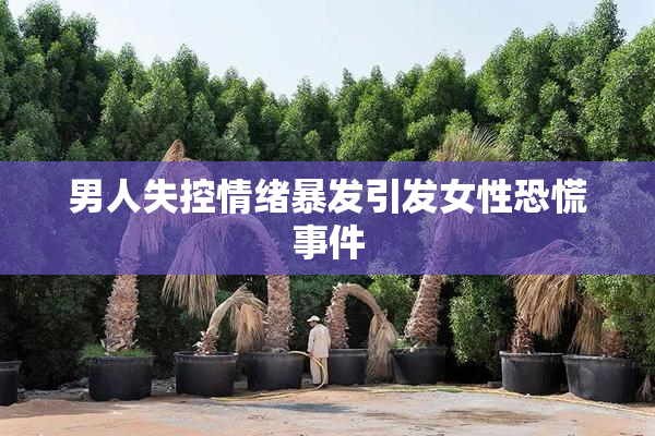 男人失控情绪暴发引发女性恐慌事件
