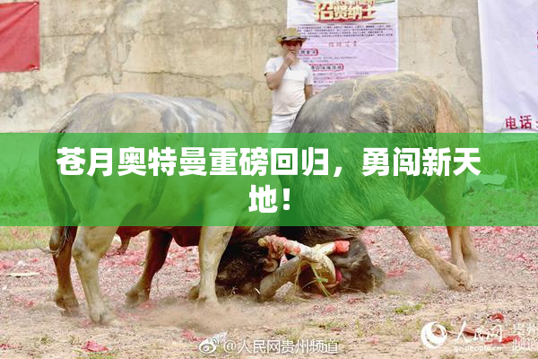 苍月奥特曼重磅回归，勇闯新天地！