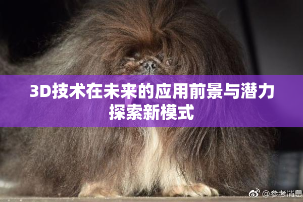 3D技术在未来的应用前景与潜力探索新模式