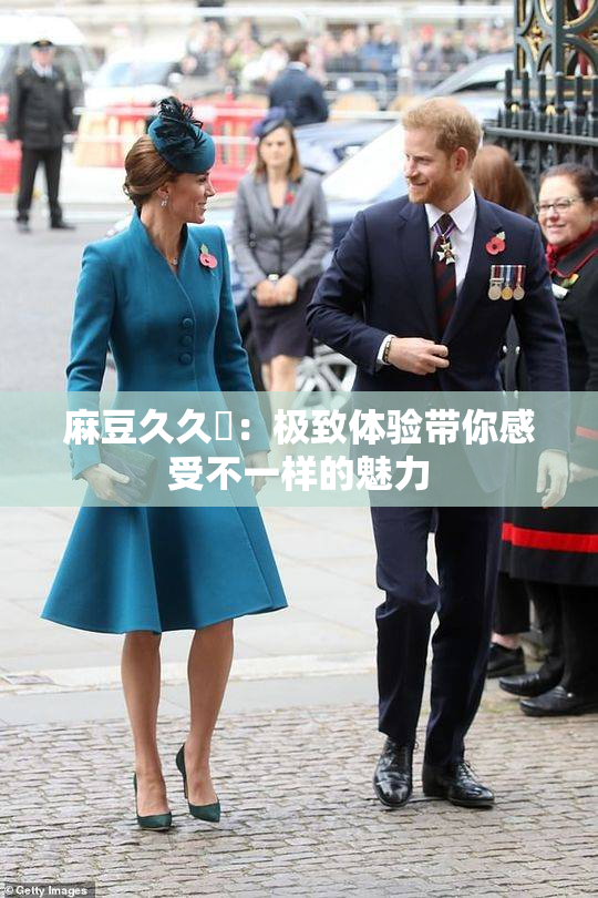麻豆久久婬：极致体验带你感受不一样的魅力