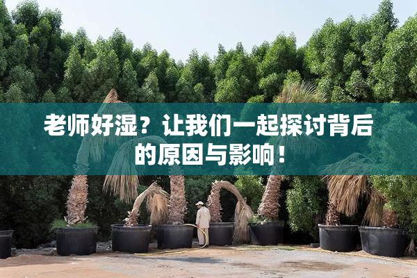老师好湿？让我们一起探讨背后的原因与影响！