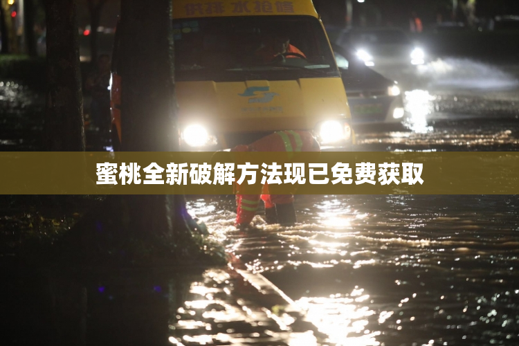 蜜桃全新破解方法现已免费获取