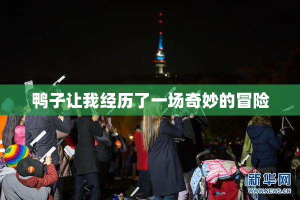 鸭子让我经历了一场奇妙的冒险