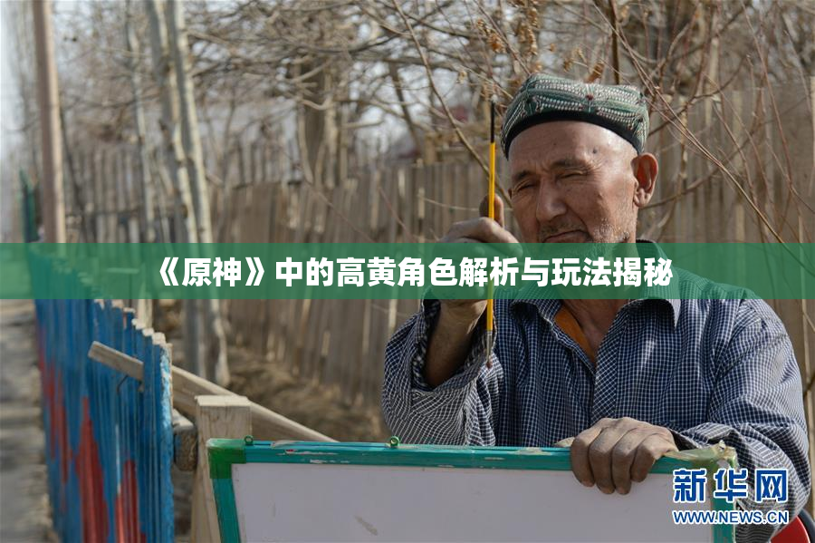 《原神》中的高黄角色解析与玩法揭秘
