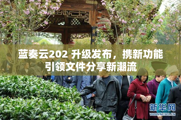 蓝奏云202 升级发布，携新功能引领文件分享新潮流
