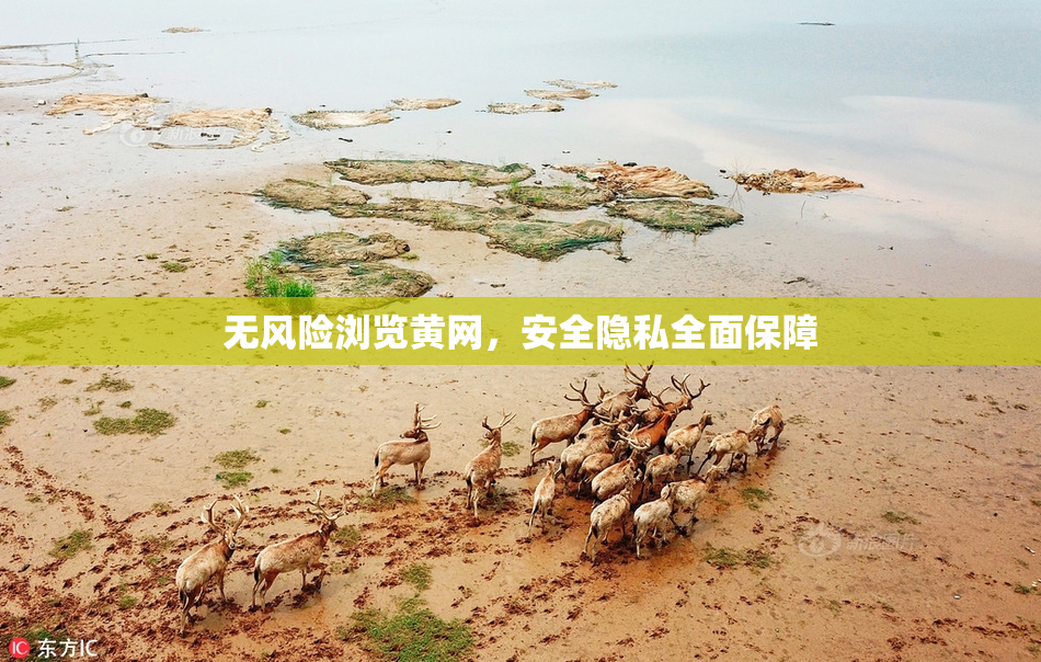 无风险浏览黄网，安全隐私全面保障