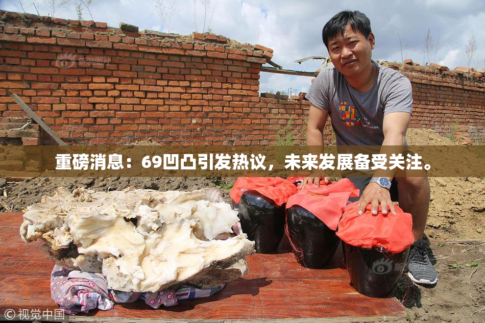 重磅消息：69凹凸引发热议，未来发展备受关注。