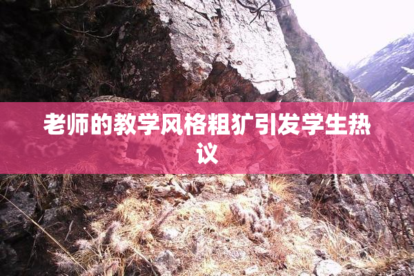 老师的教学风格粗犷引发学生热议