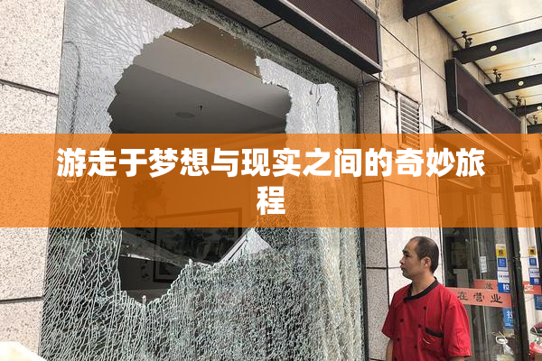 游走于梦想与现实之间的奇妙旅程