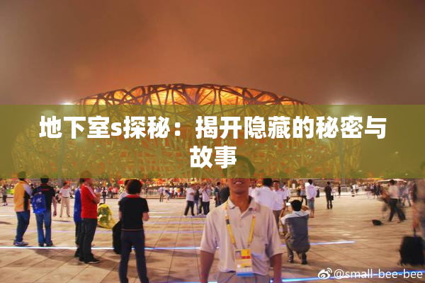 地下室s探秘：揭开隐藏的秘密与故事
