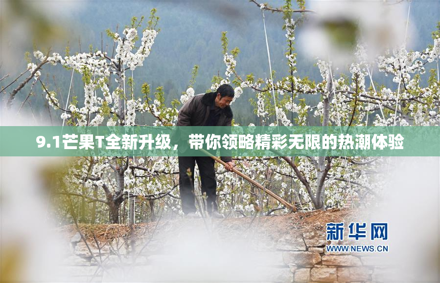 9.1芒果T全新升级，带你领略精彩无限的热潮体验