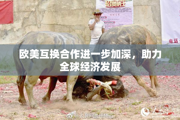 欧美互换合作进一步加深，助力全球经济发展