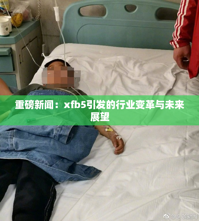 重磅新闻：xfb5引发的行业变革与未来展望