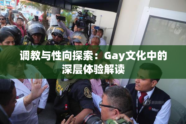 调教与性向探索：Gay文化中的深层体验解读