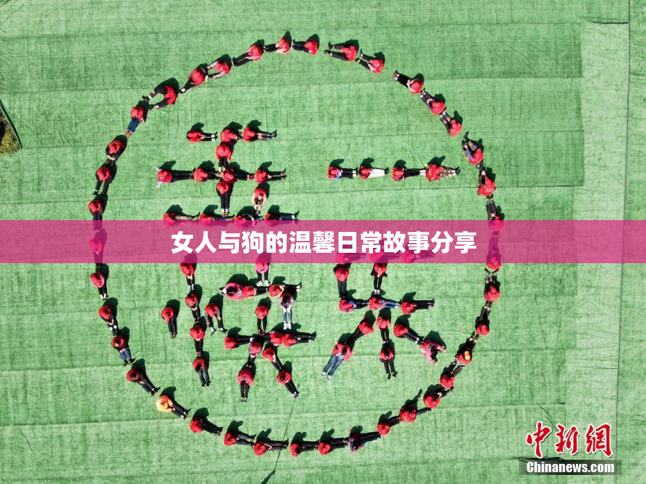 女人与狗的温馨日常故事分享