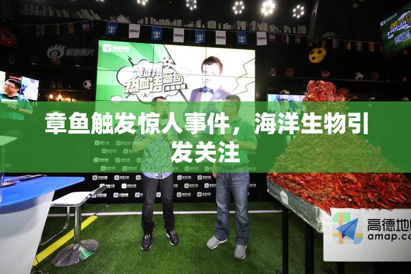 章鱼触发惊人事件，海洋生物引发关注