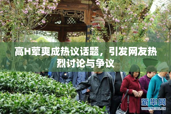 高H荤爽成热议话题，引发网友热烈讨论与争议