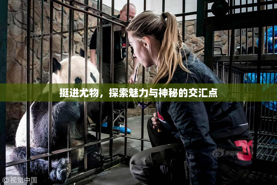 挺进尤物，探索魅力与神秘的交汇点
