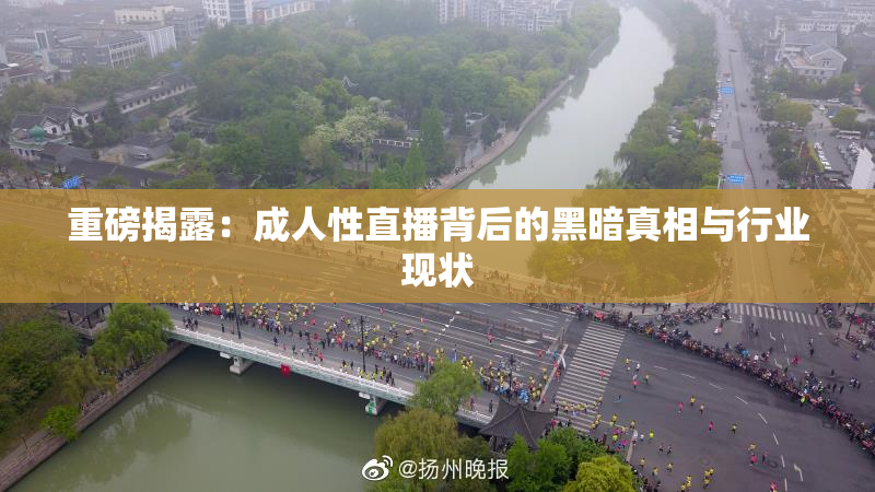 重磅揭露：成人性直播背后的黑暗真相与行业现状