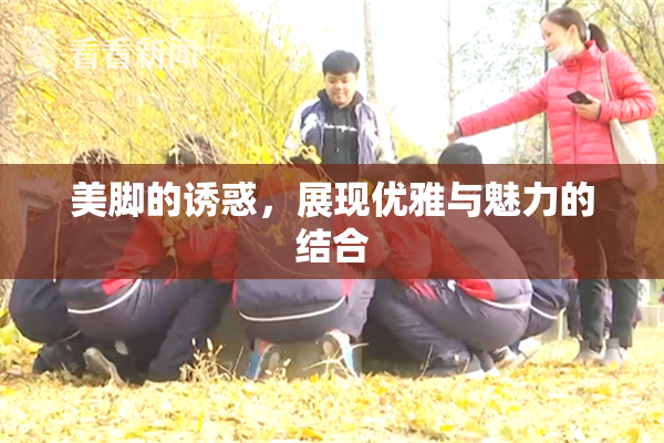 美脚的诱惑，展现优雅与魅力的结合