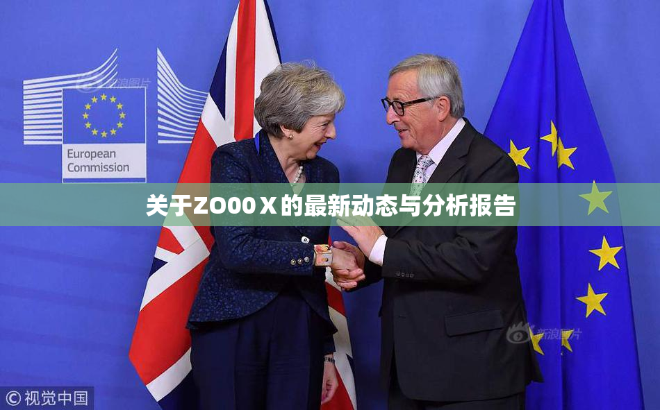 关于ZO00Ⅹ的最新动态与分析报告
